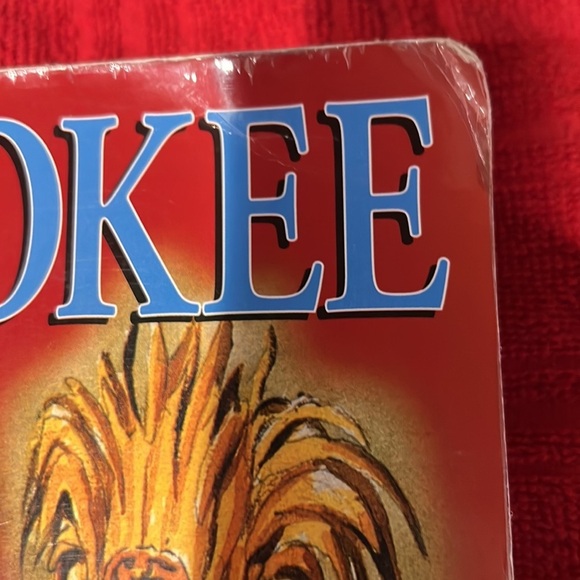 The Cherokee people vintage book - Picture 3 of 9